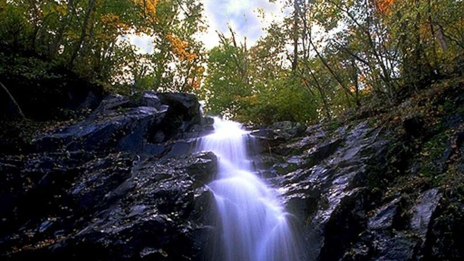 A waterfall cascading over rock with slight hints of fall color in the trees above.