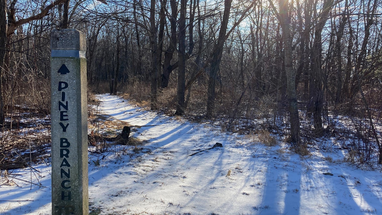 A color photograph with the sun illuminating a snowy trail with a concrete trailpost on the left.