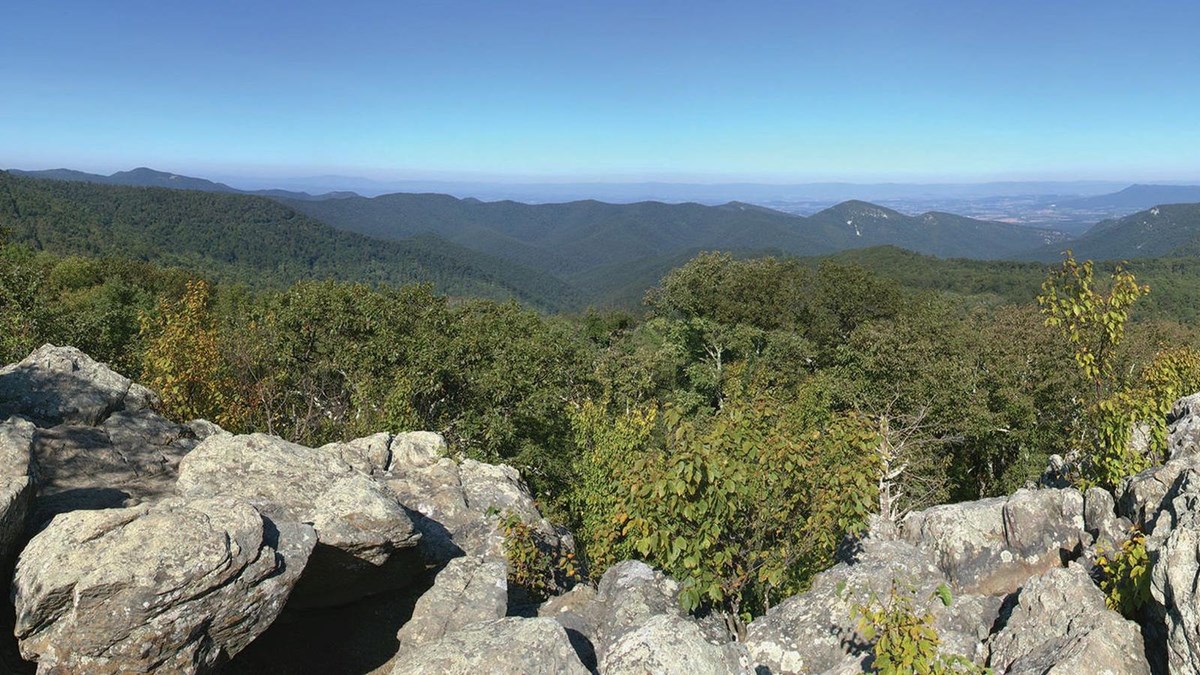 A sweeping panoramic view from a rock cliff over green trees to blue mountains in the background.