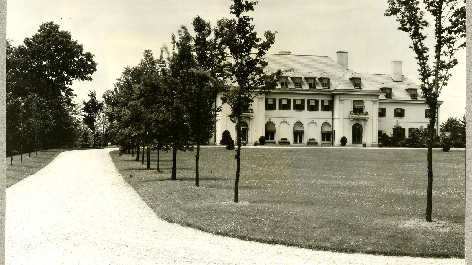 Black and white of flat grassy area with road leading to large home lined with trees 