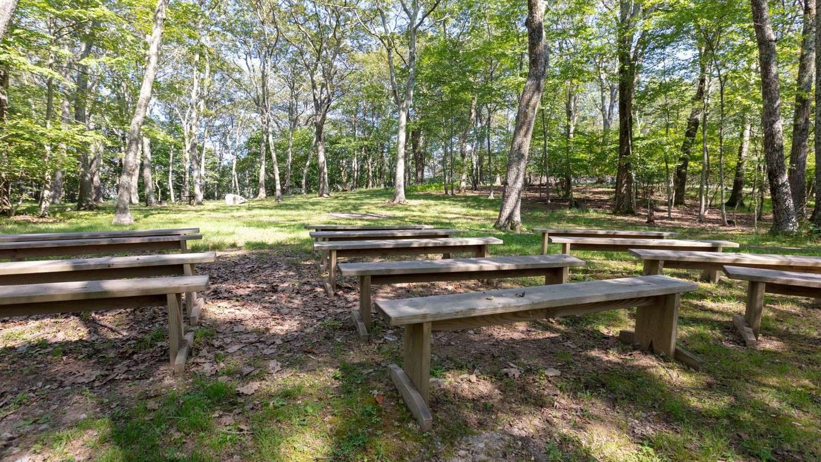 Four sets of long wooden benches separated by aisles. Dirt underneath with a view of the forest.