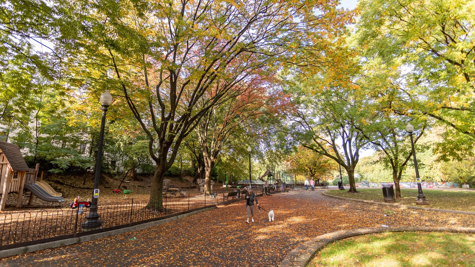 A woman walks a dog on a path shaded by colorful autumn trees.