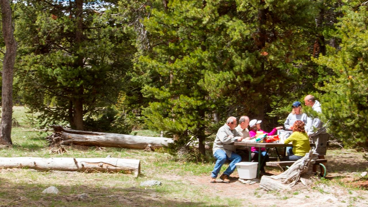 Group of visitors at picnic table
