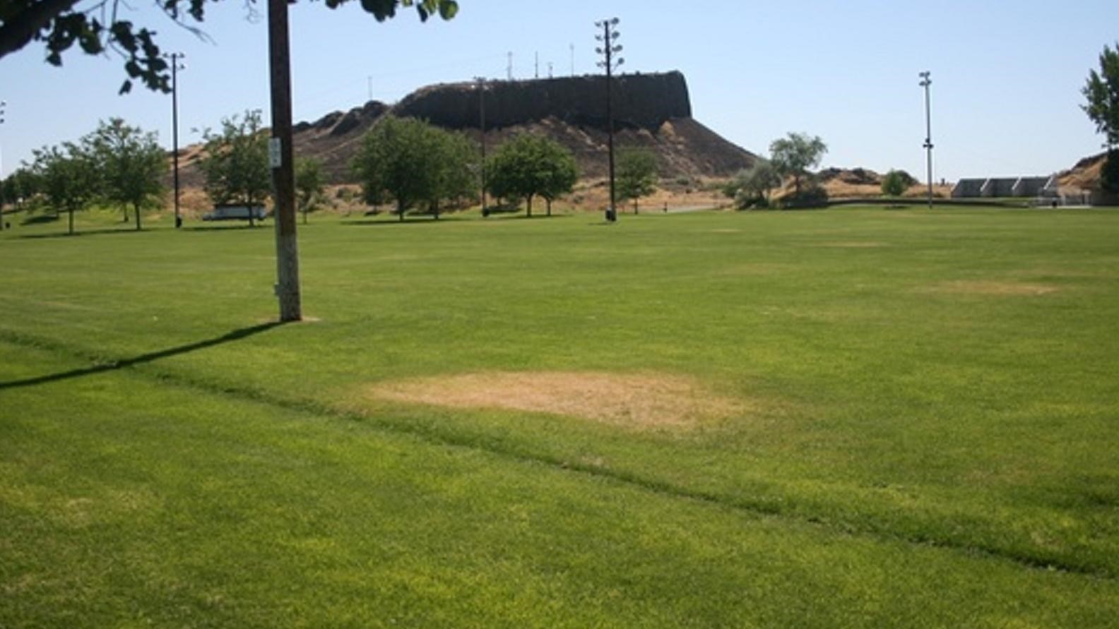 A grassy field stretches towards a bluff in the background under a blue sky