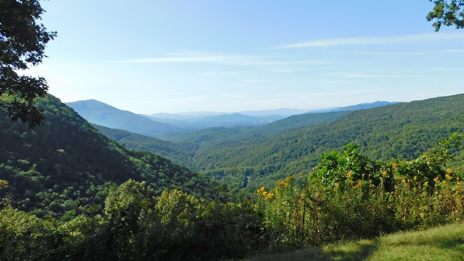 A heavily forested valley surrounded by mountain ridges sits beneath a clear, blue summer sky