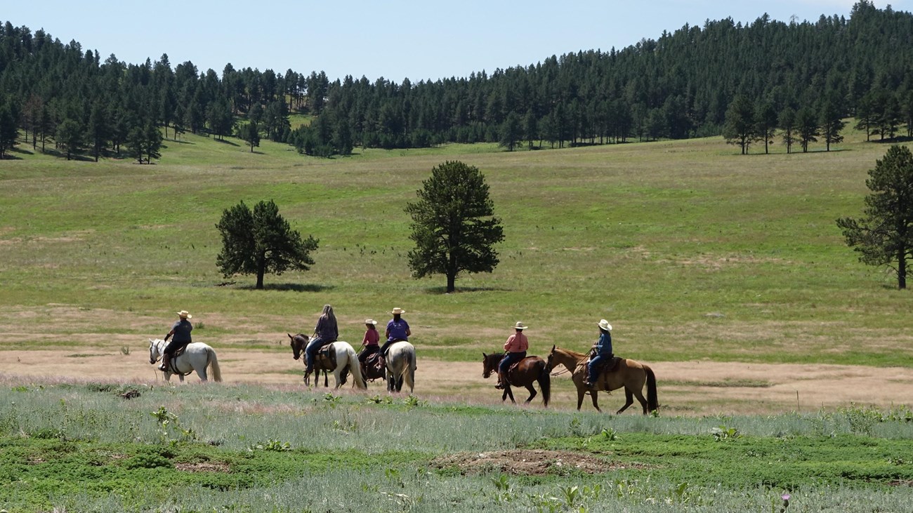 a group of people on horses riding into the prairie