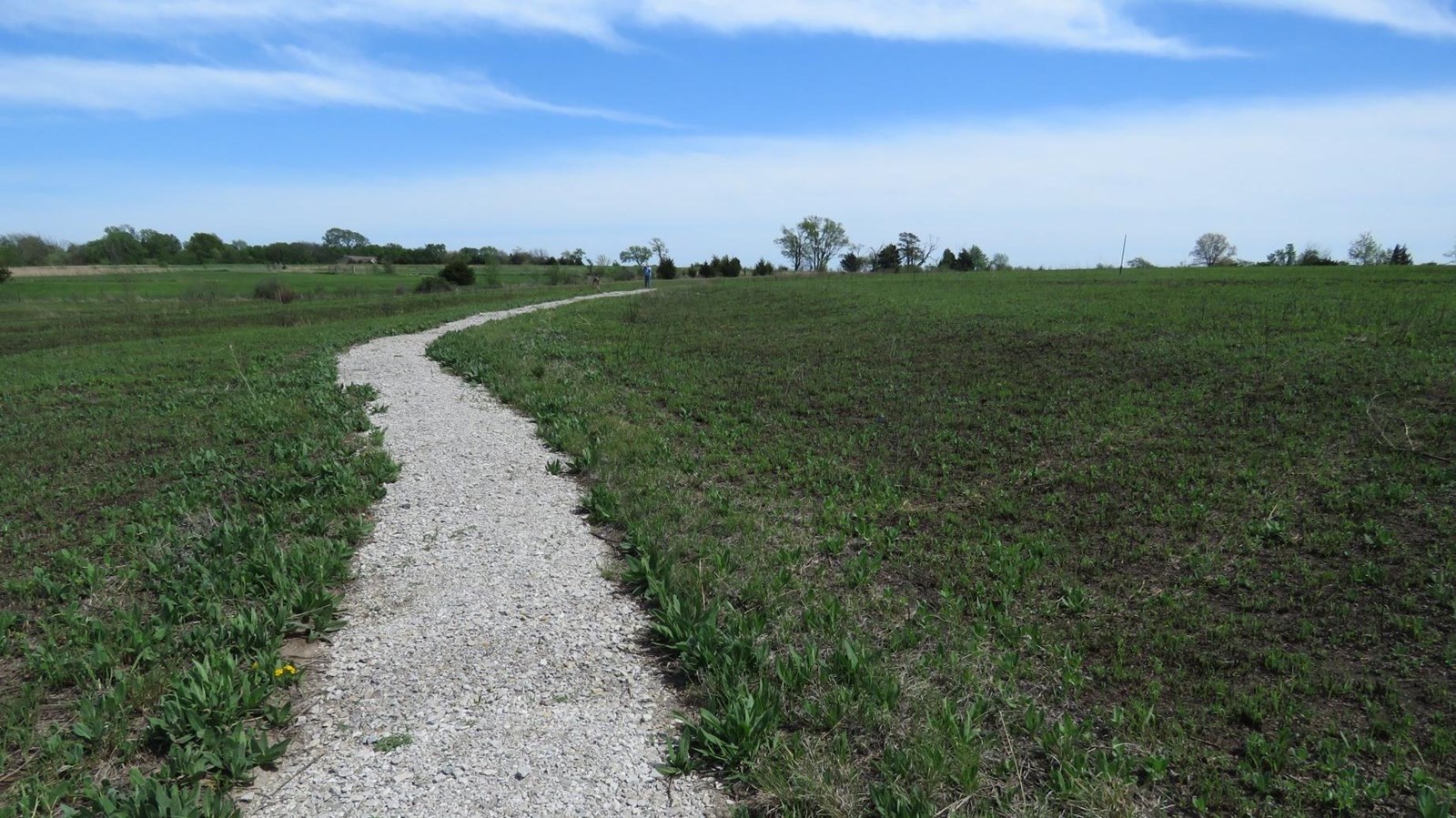 A stone path winds through a vast prairie.