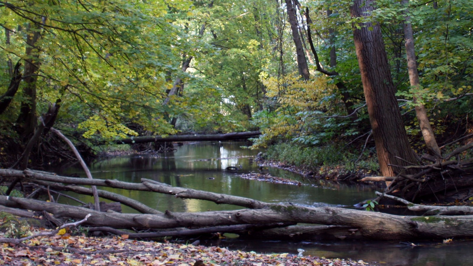 A log lays across the banks of the Little Calumet River.