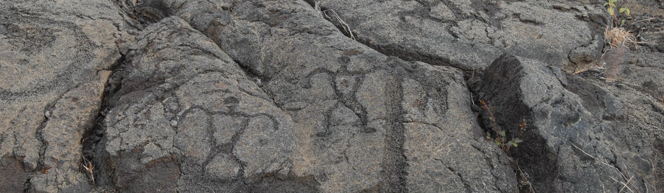 Pu‘u Loa Petroglyphs