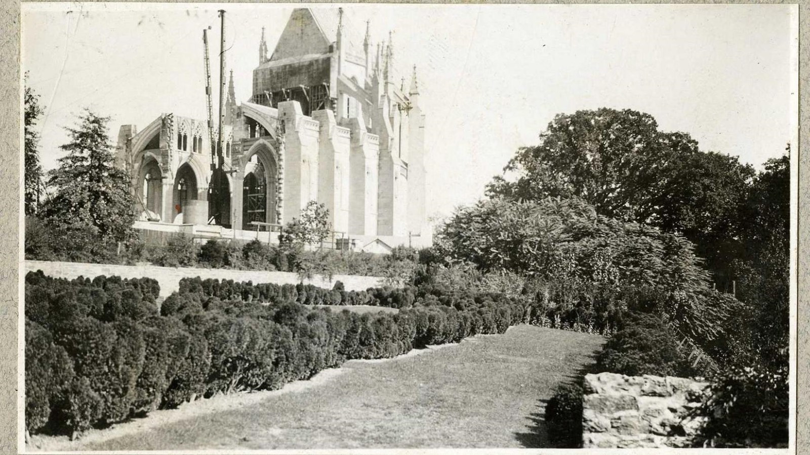 Black and white of large church in background with trees around and rows of shrubs with grass area