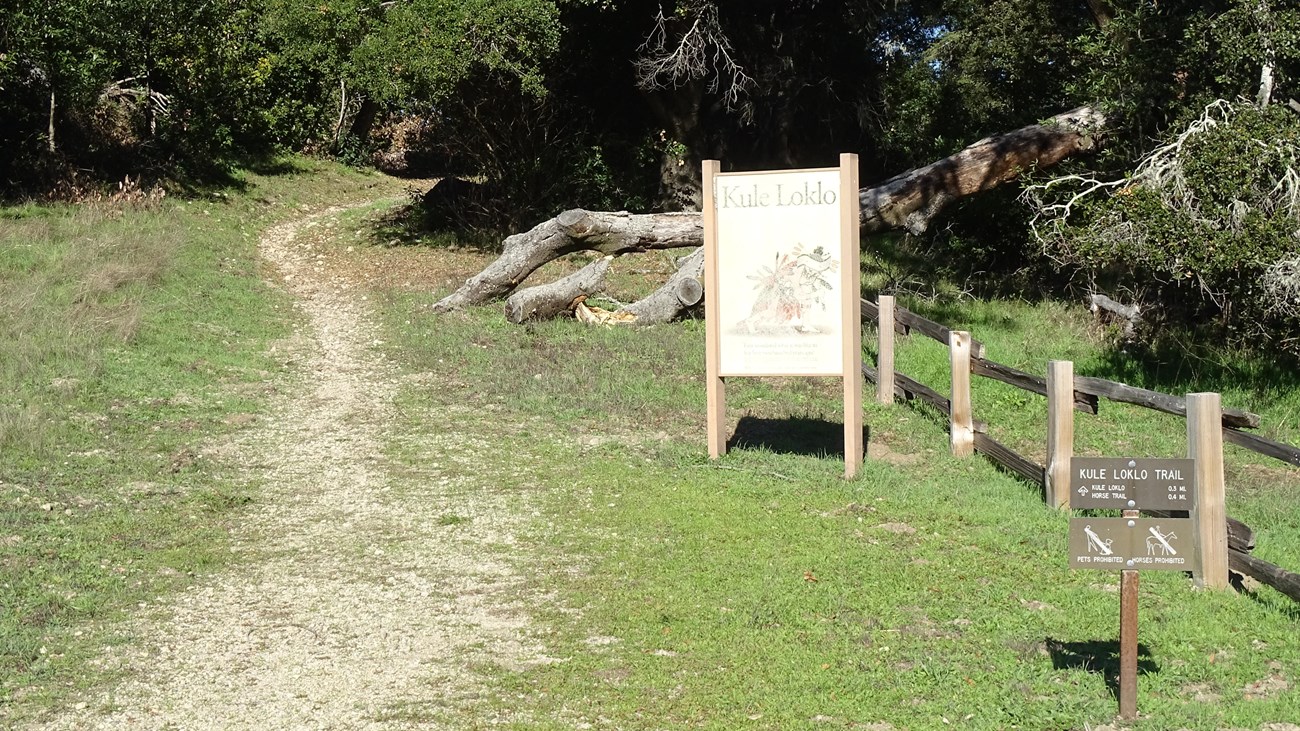 A dirt path paralleling a split rail fence leads past the Kule Loklo Trailhead sign into the woods.