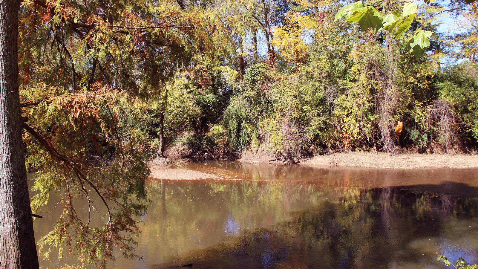 A glassy surfaced wide creek with trees on the opposite bank.
