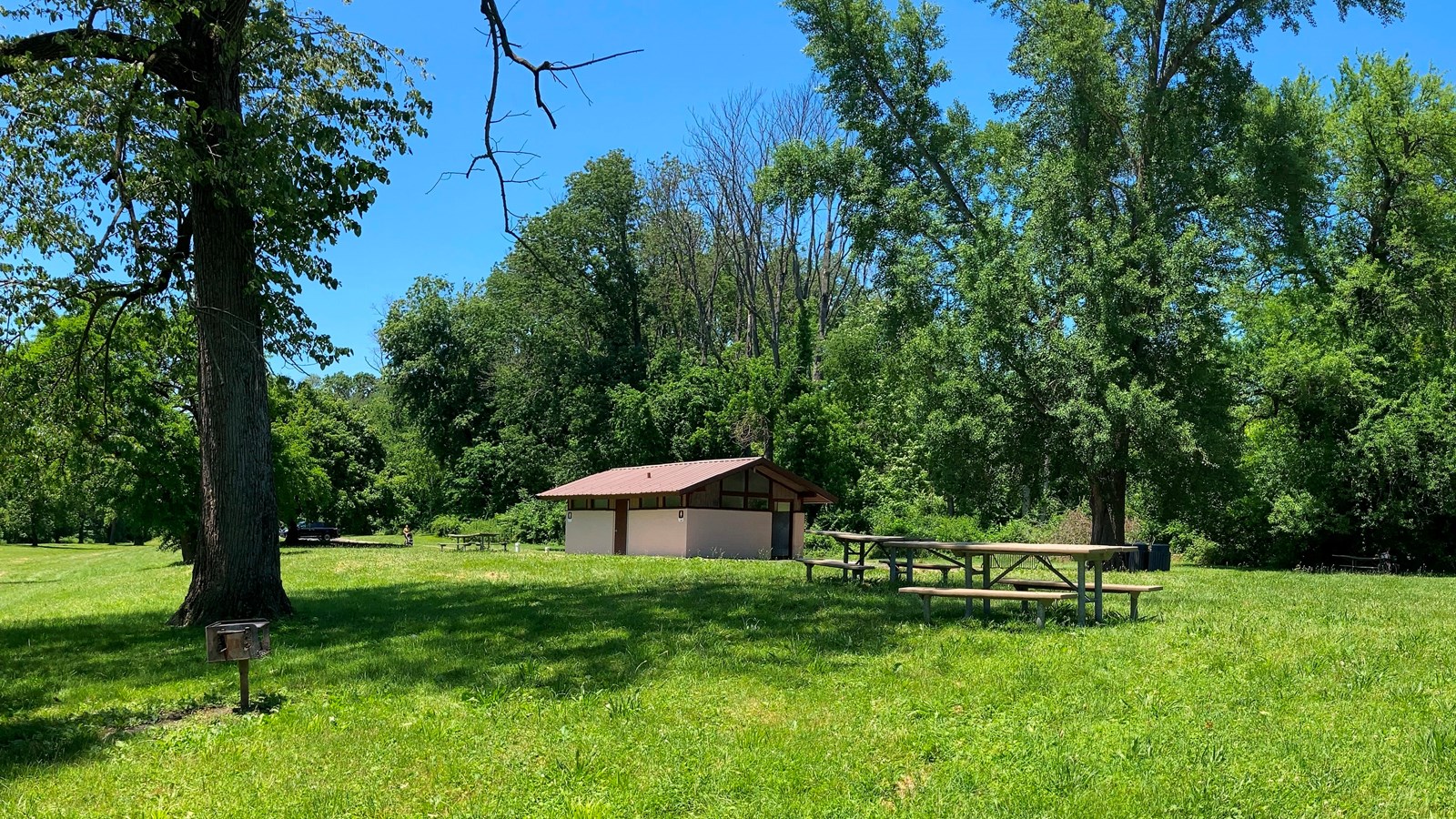 picnic table, charcoal grill and a small restroom building. grass and trees.