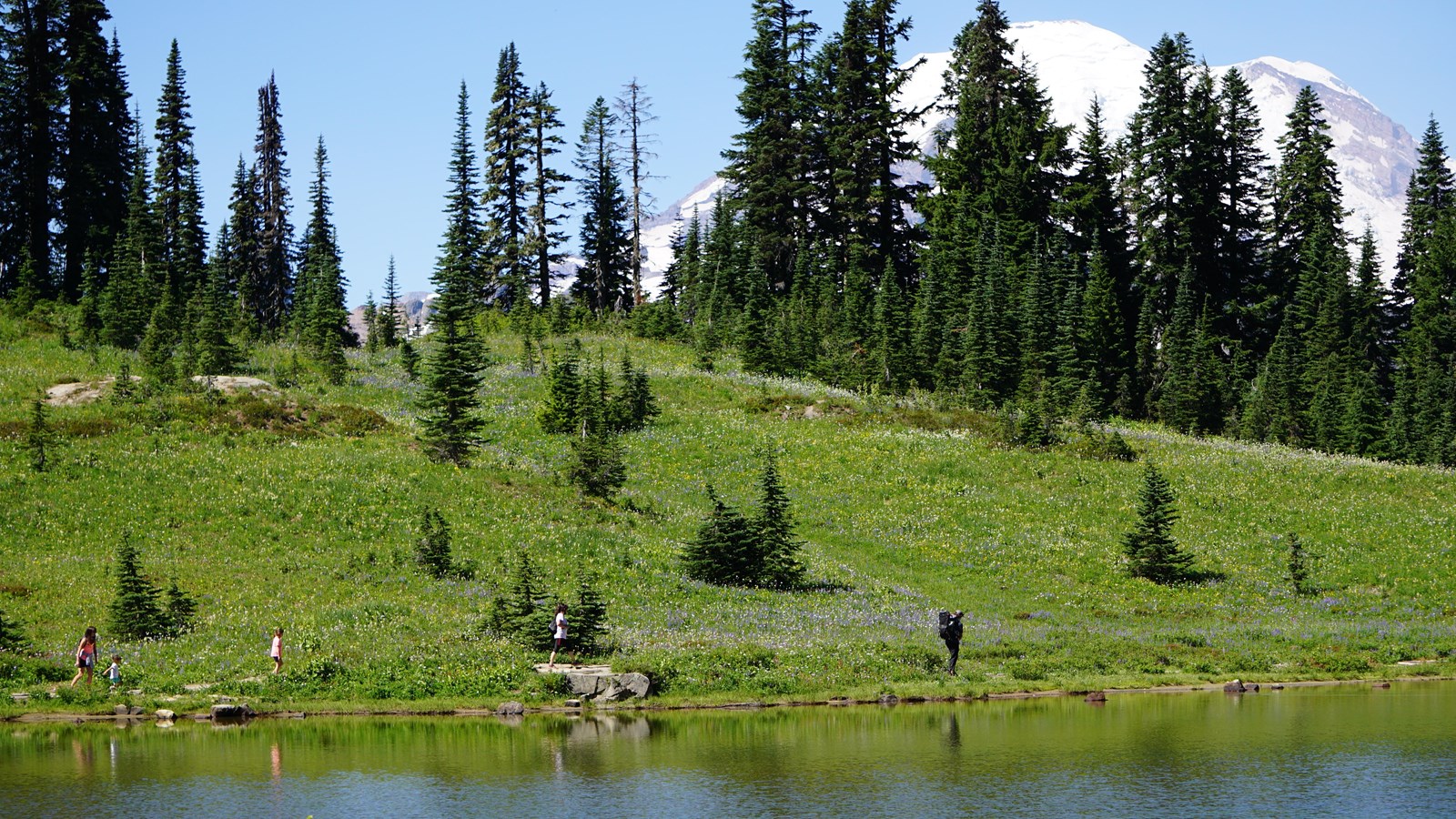 Several people walk along a trail next to a lake surrounded by wildflower meadows.