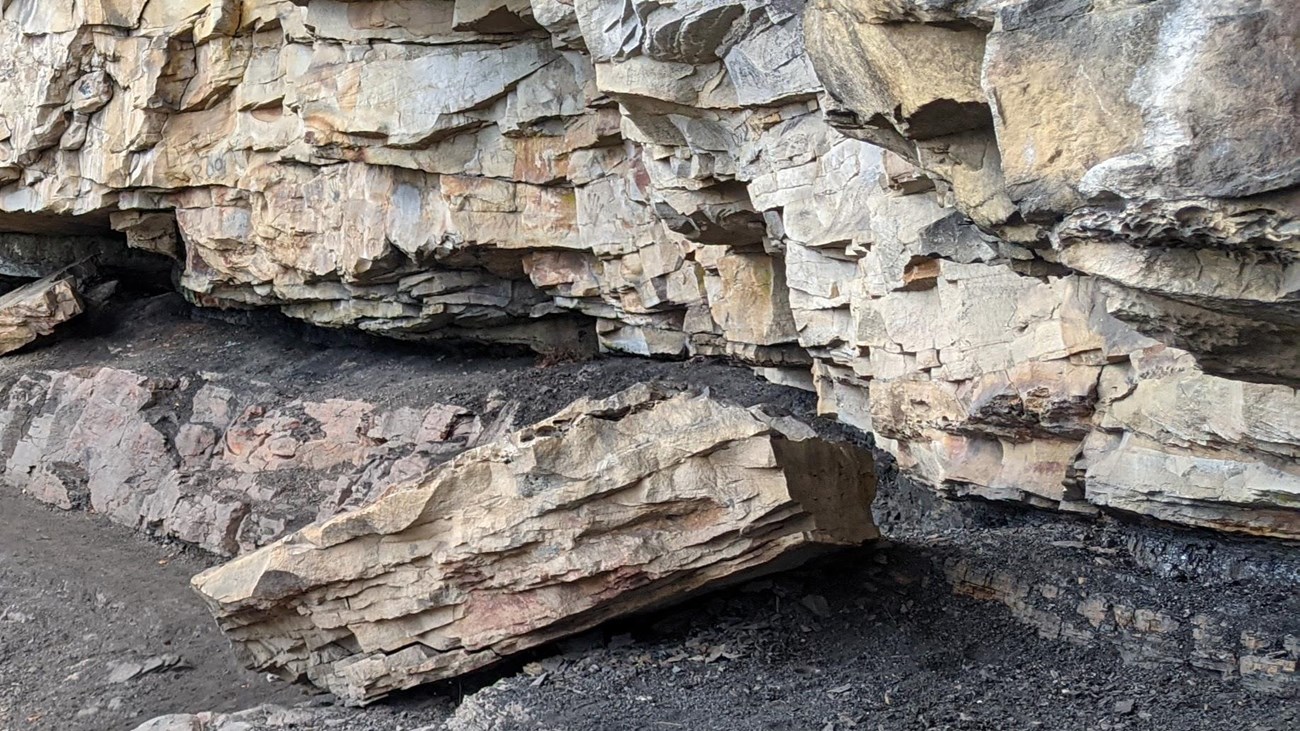 Combination of rocks that include Sandstone, shale, conglomerate, and coal.