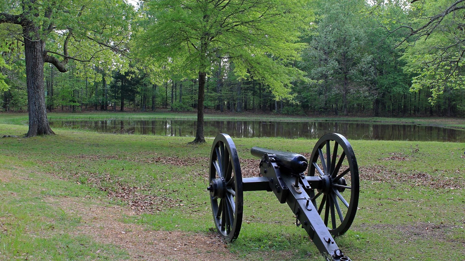 A lone cannon stands sentinel over a pool of water