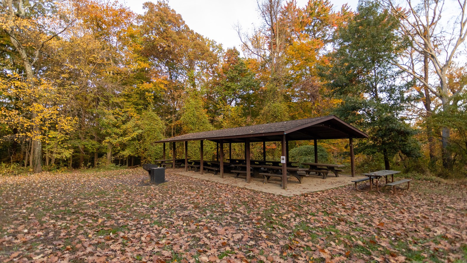 Covered picnic benches surrounded by trees turning from green to yellow