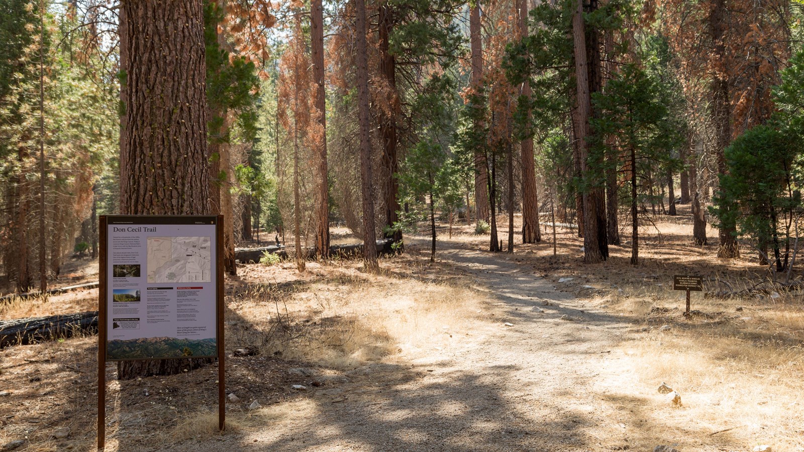 A metal sign sits next to a dirt trail that leads through trees