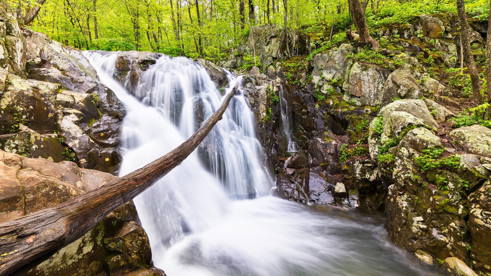 Color photo of a waterfall in the midst of the fresh spring green trees from a forest.
