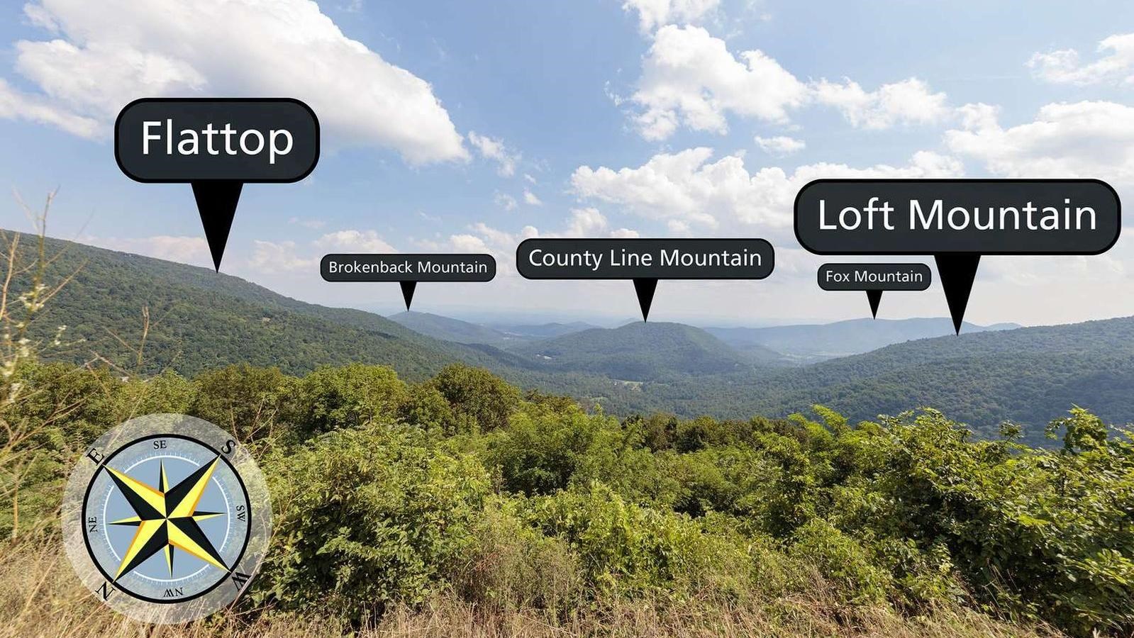 A view over trees to mountains beyond.