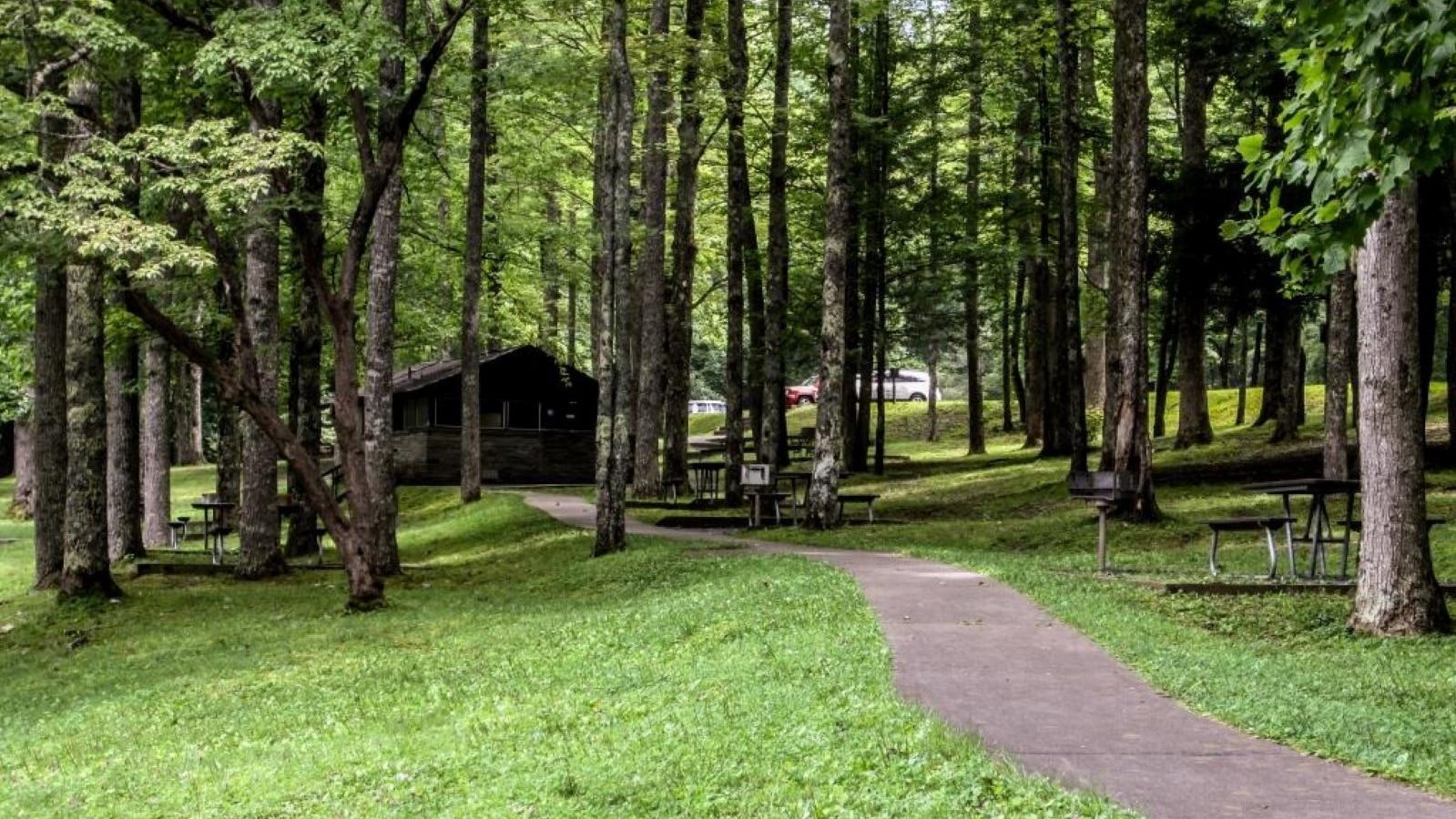 Foreground grass and a sidewalk to picnic tables, grills, and a restroom facility all among trees