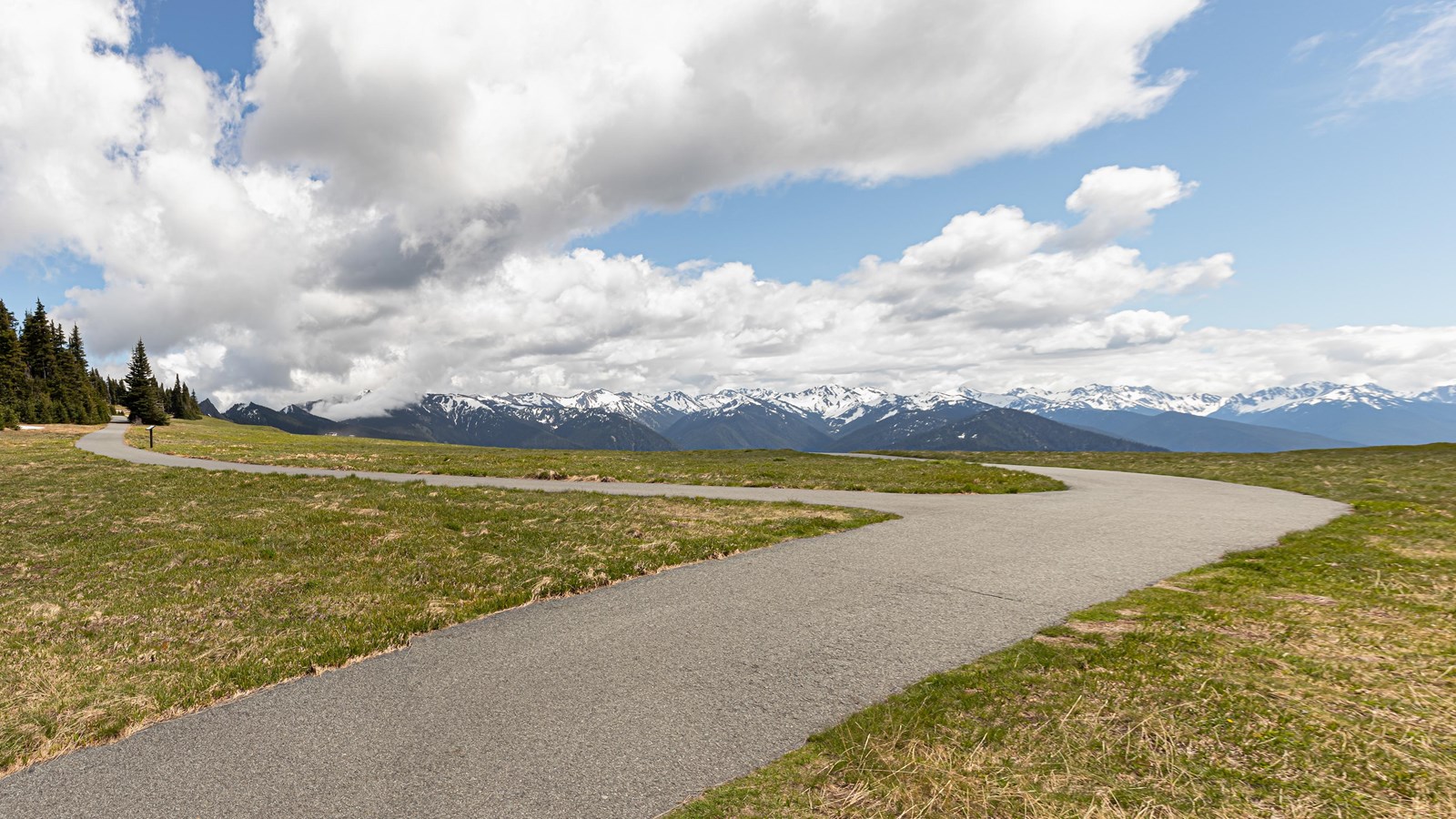 A paved trail through a mountain meadow