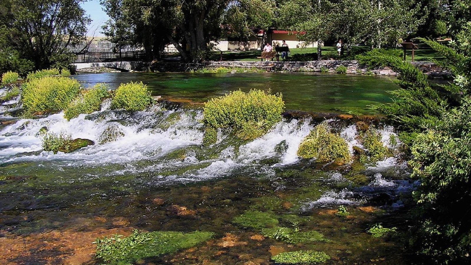 Water bubbles up from a spring and flows over mossy rocks