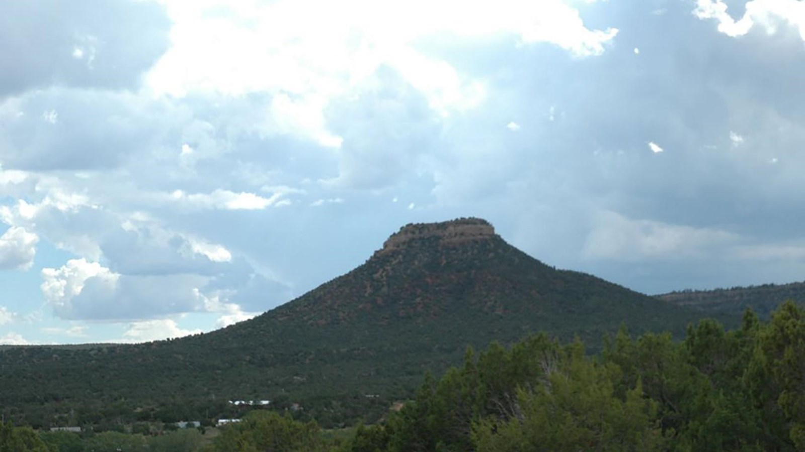 A large mesa with green shrubs.