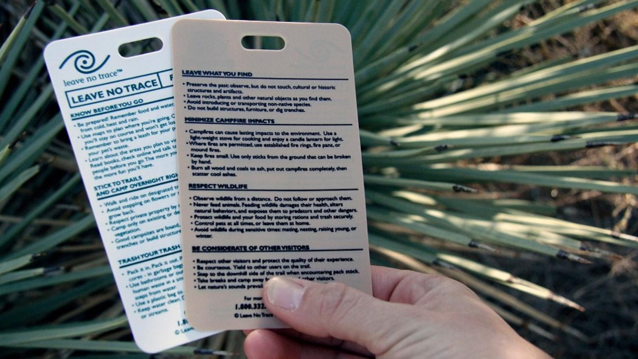 A hand holds two waterproof cards with text in front of a green background