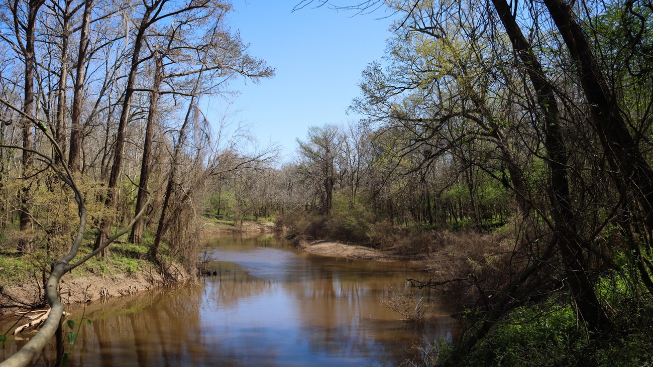 A wide, curving creek with trees and green shrubs lining its banks.