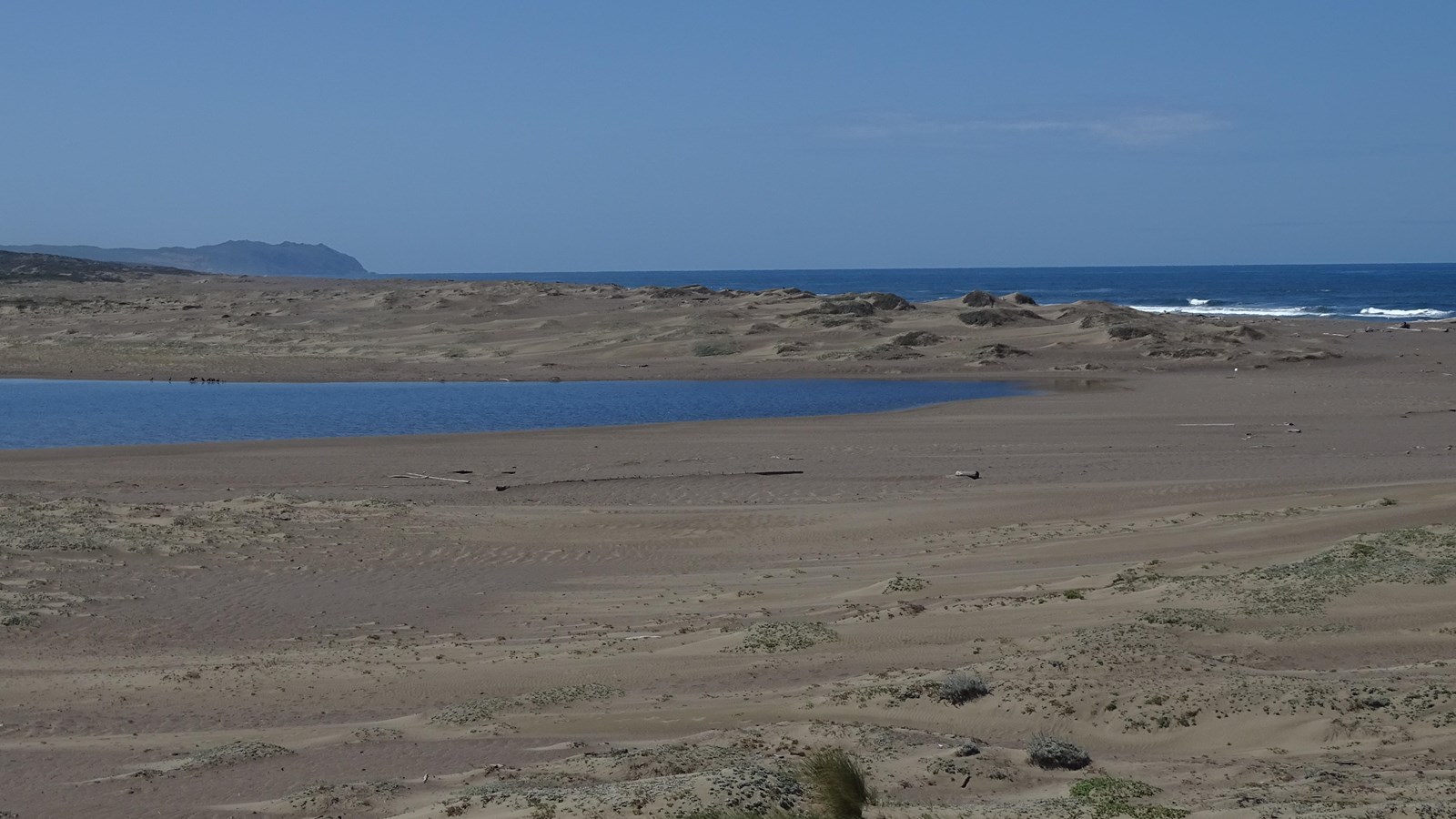 Sand and dunes, some sparsely covered by vegetation, separates a shallow lagoon and the ocean.