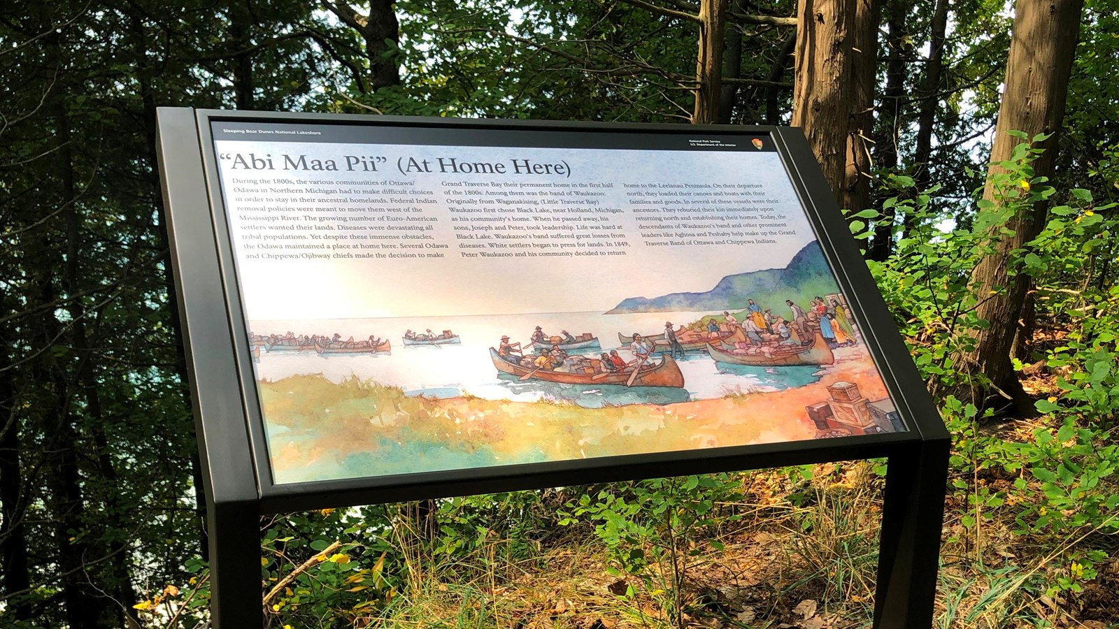 An informational sign about Anishinaabe history stands in a clearing in the forest