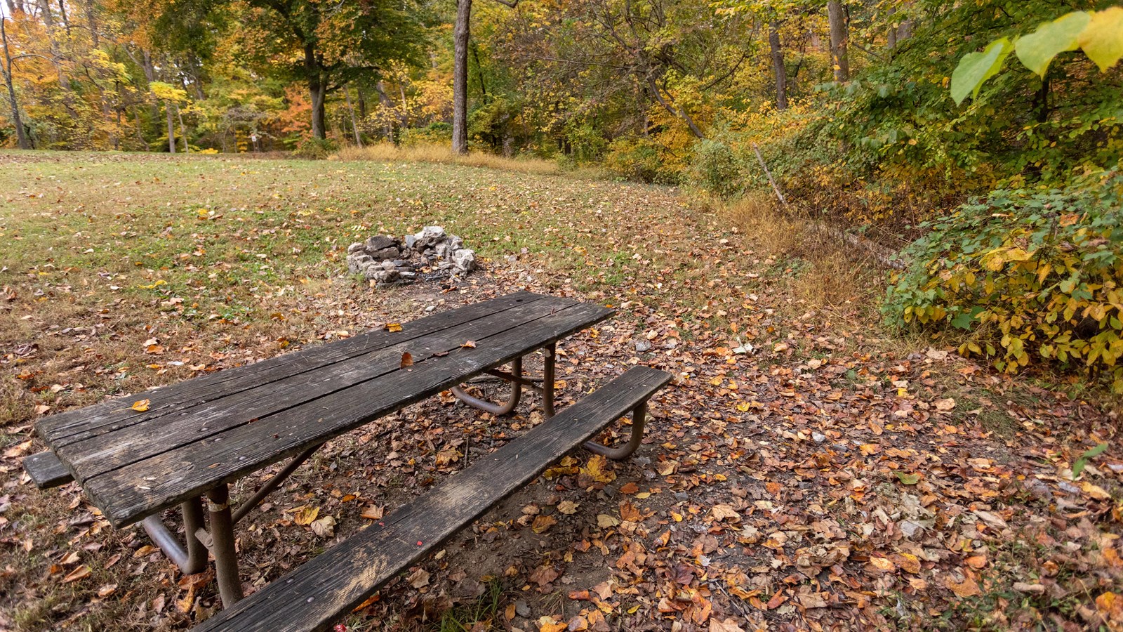 A picnic bench in front of a grassy field.