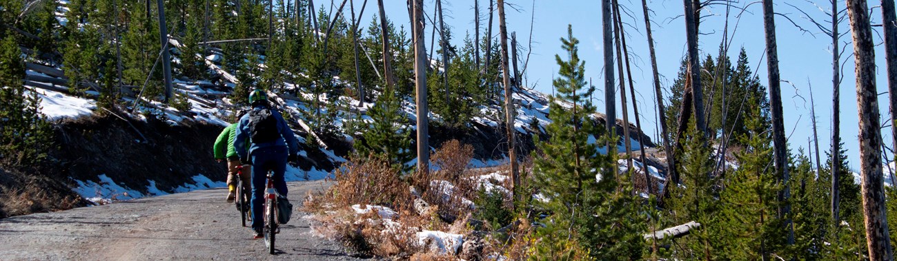 Two bikers on a dirt road with green trees and standing snags. Snow covers some of the landscape.