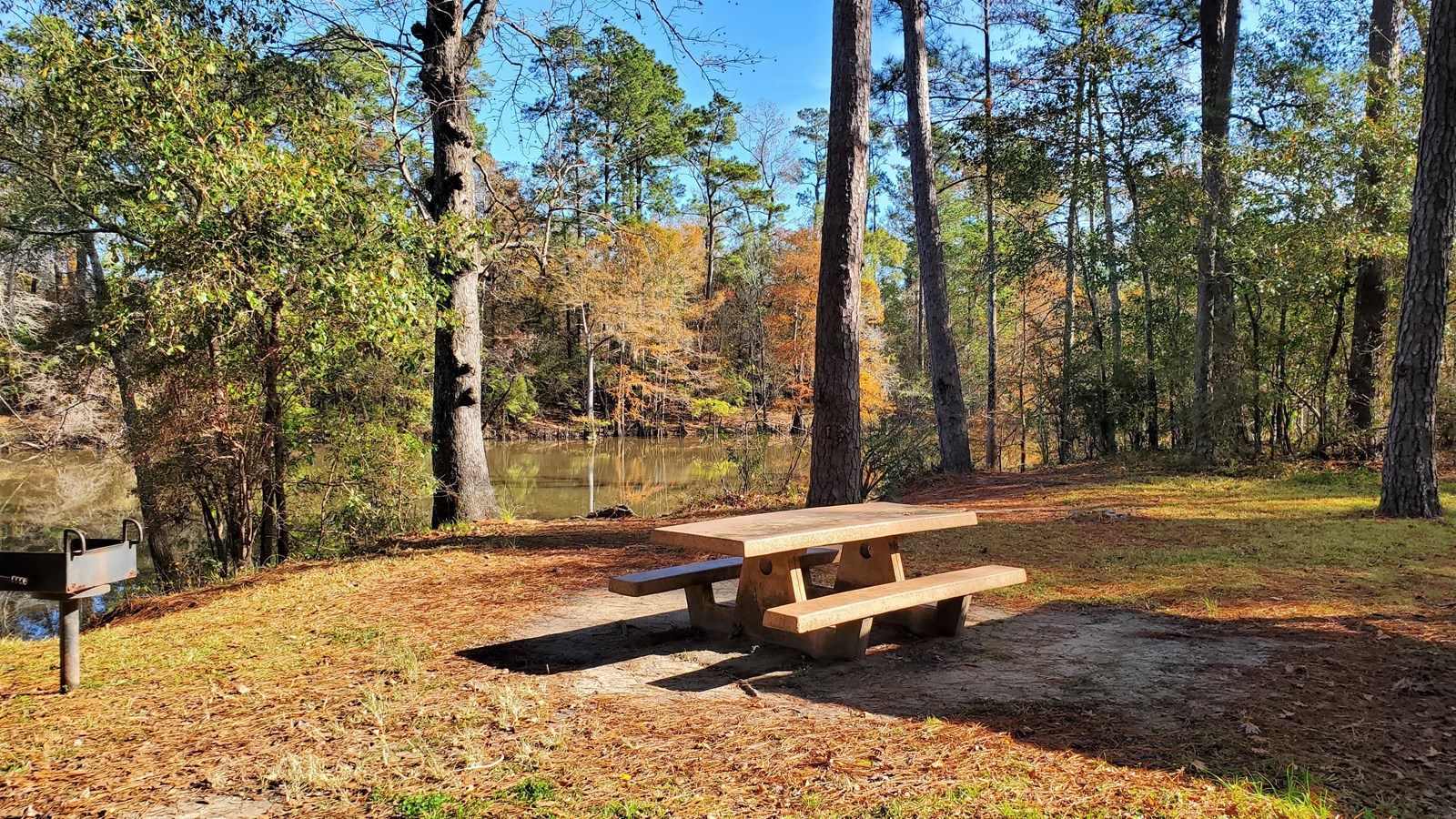 Picnic table and metal grill in a forested area along a waterway