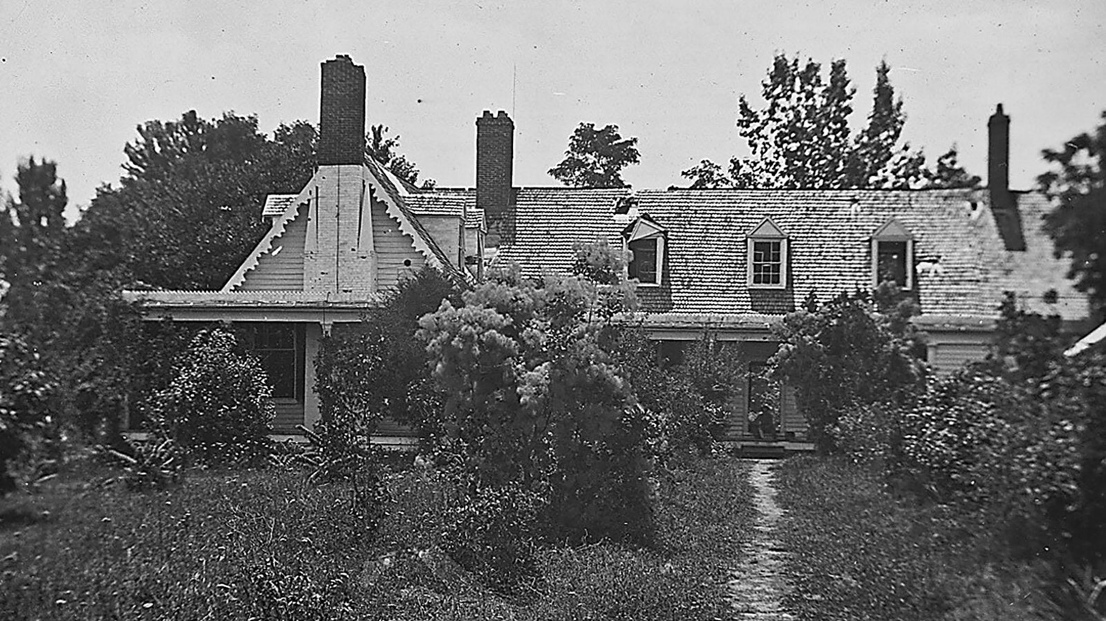 Historic, black and white photo of white house with red roof, overgrown bushes in front of house
