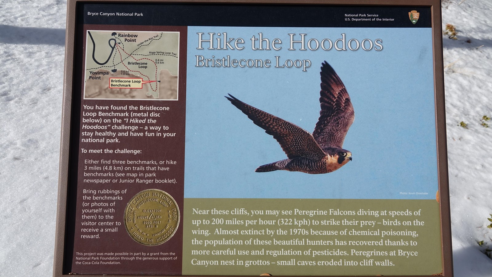 A Wayside panel with a peregrine falcon describes the Hike the Hoodoos program with a medallion