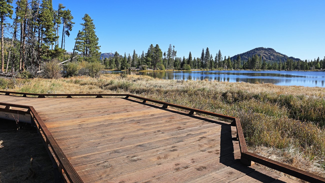 A section of the Sprague Lake Boardwalk overlooking the lake