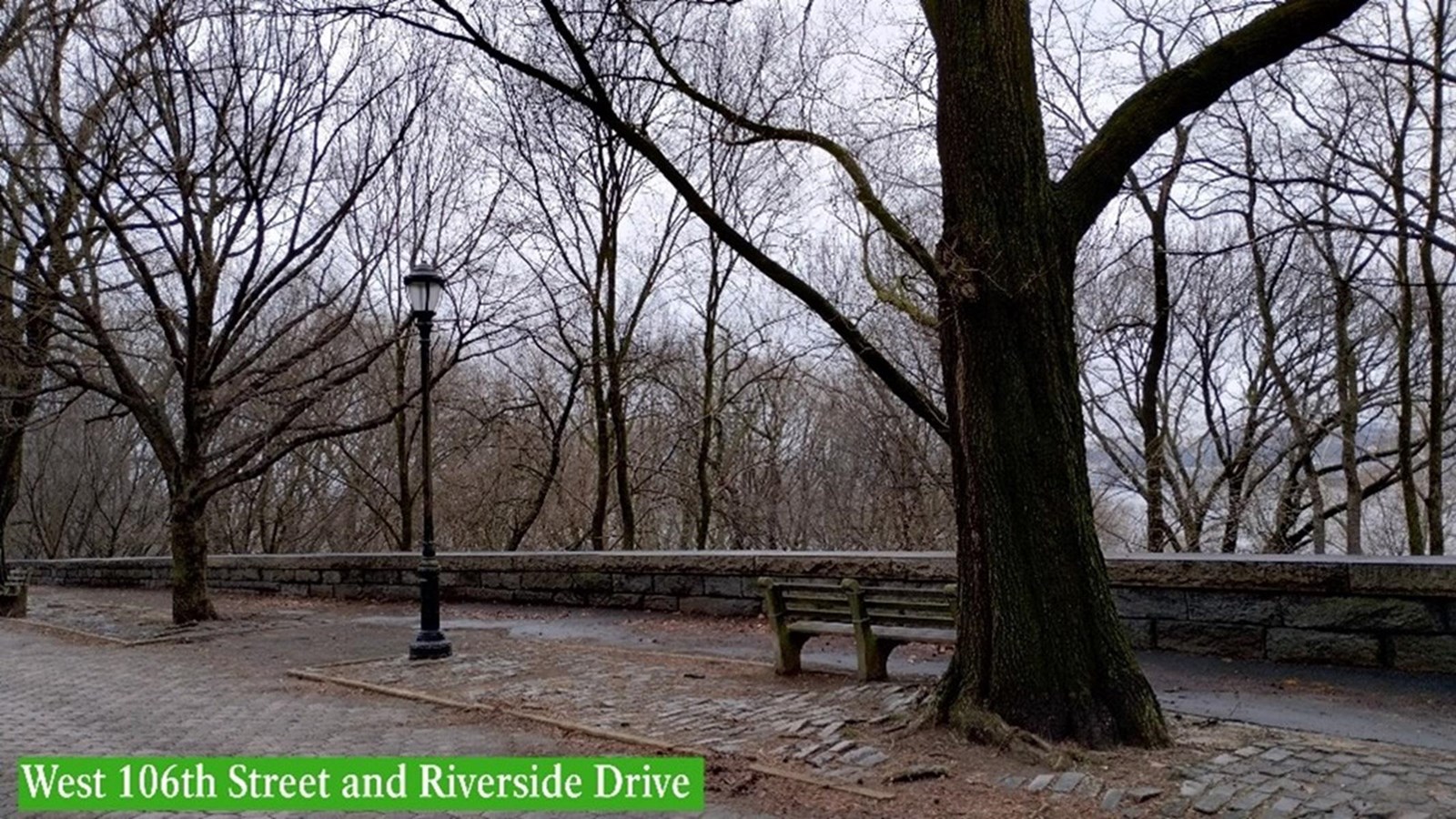 A stone walkway along a short wall surrounded by bare trees
