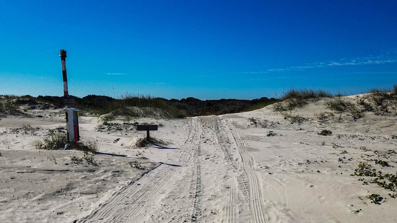 A sandy road leading into the forest with a black and white pole to the left of the road.