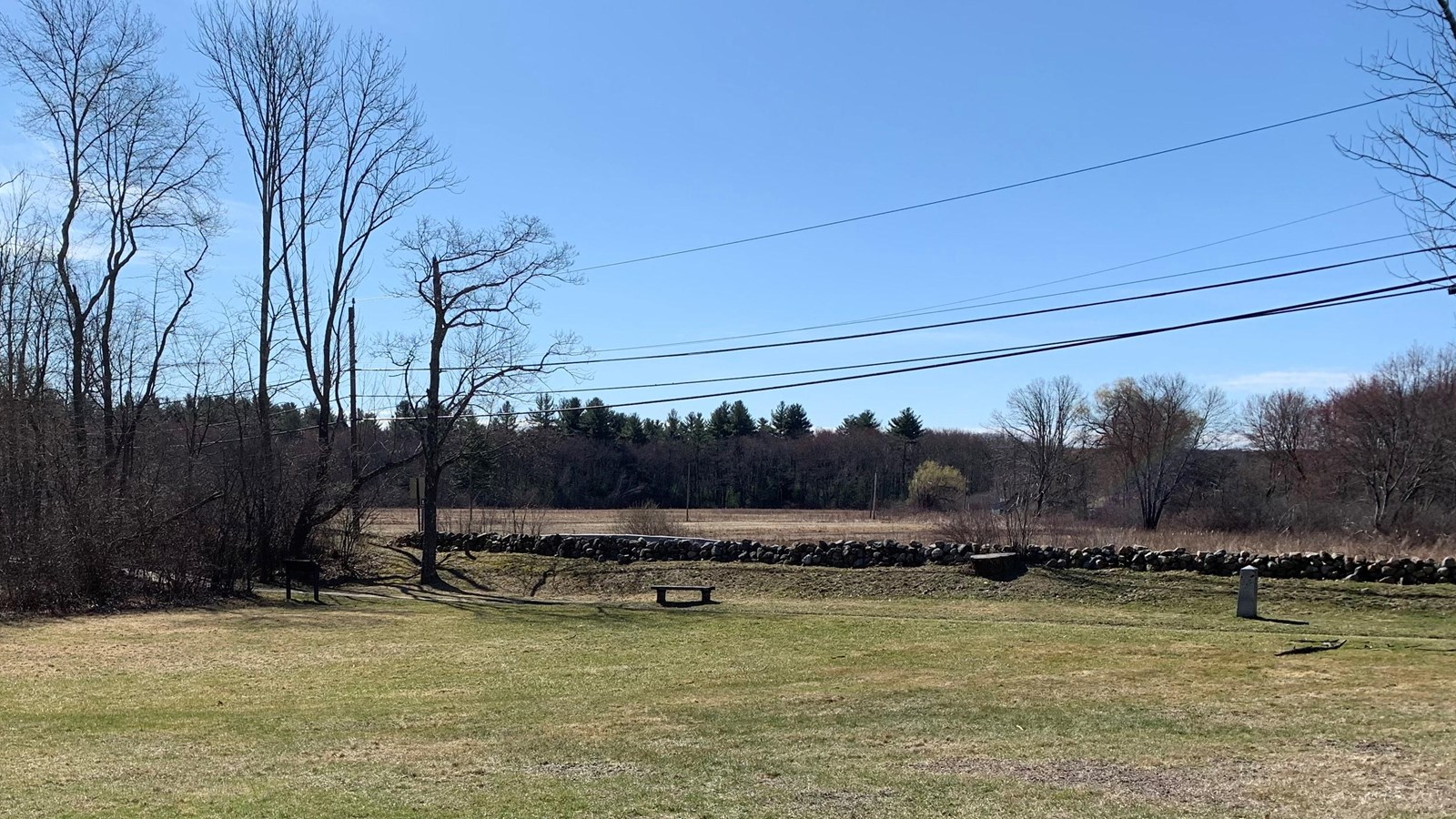 Grassy field with a road in the distance and a treeline beyond that.