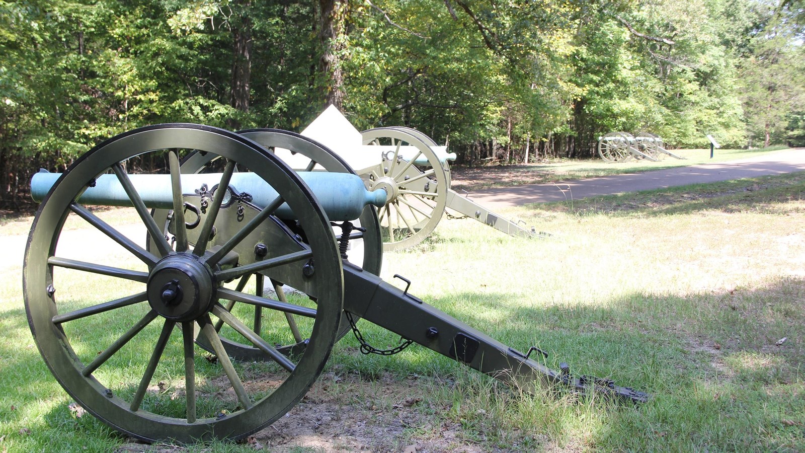Cannon on the bluff overlooking Dill Branch ravine.