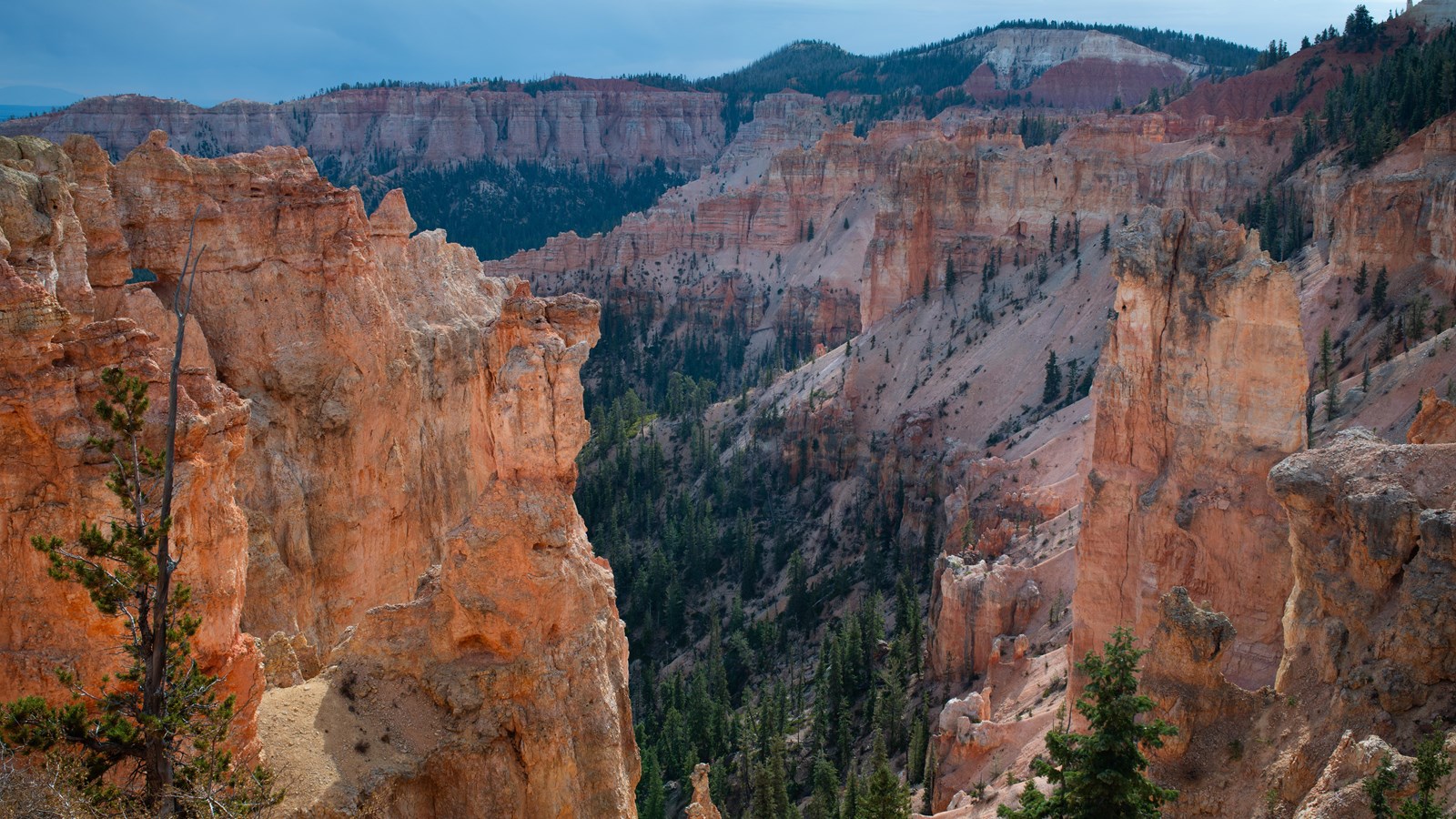 Glowing limestone cliffs tower above a forested canyon