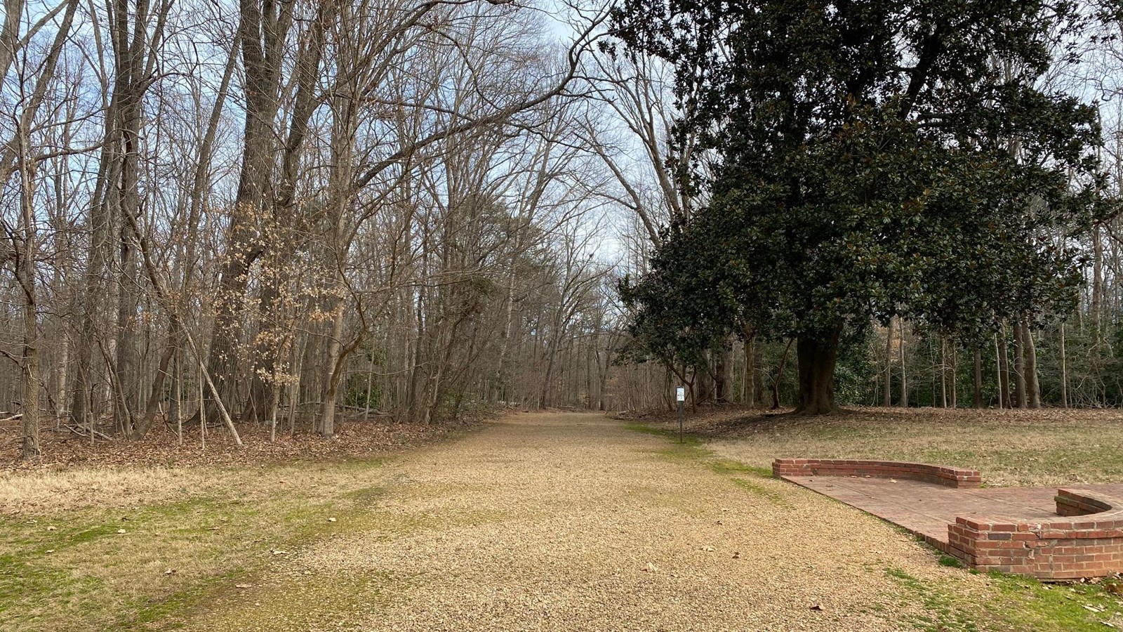 A gravel path representing the New Garden road, runs into the dense woods.