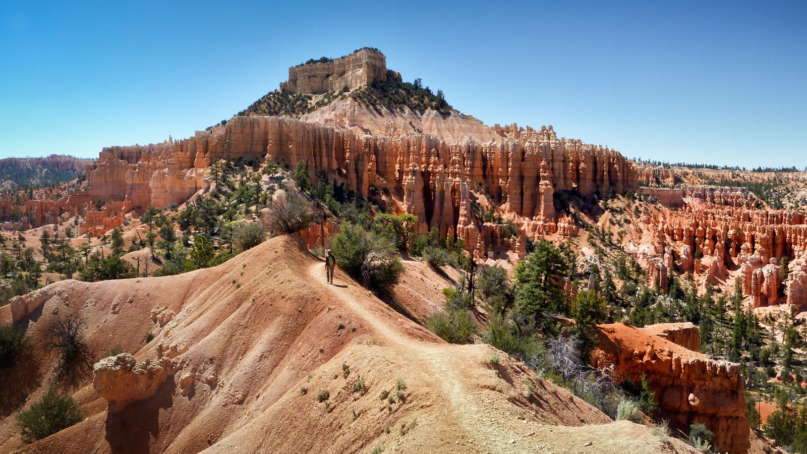 A red rock landscape of rock spires and forest with a beaten path travelling through it