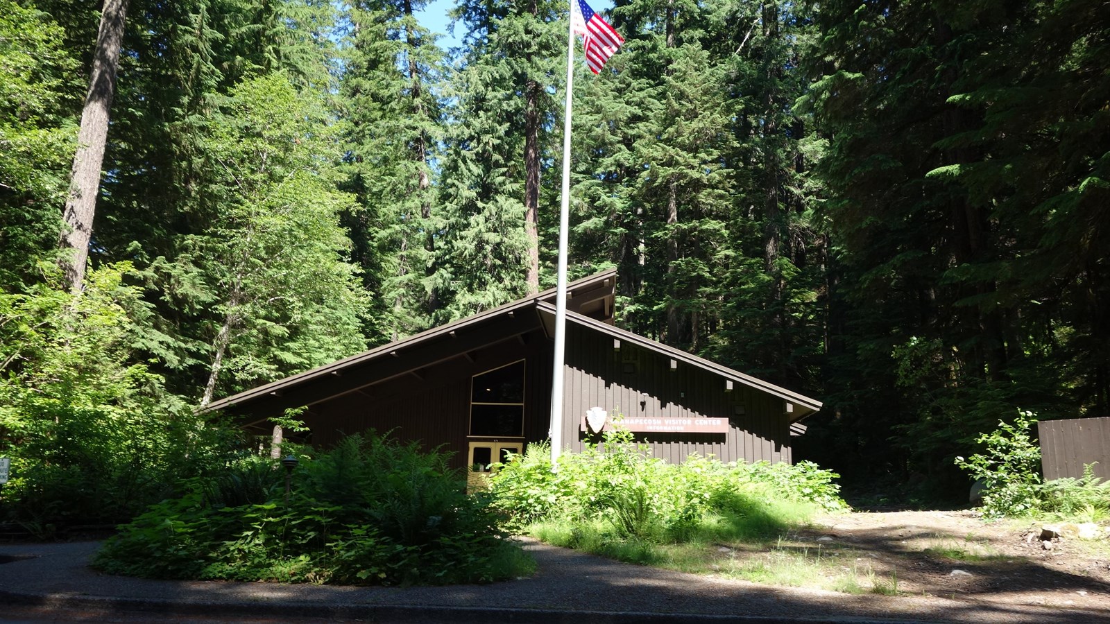 A brown and tan building with a pitched roof sits on the edge of an old-growth forest.