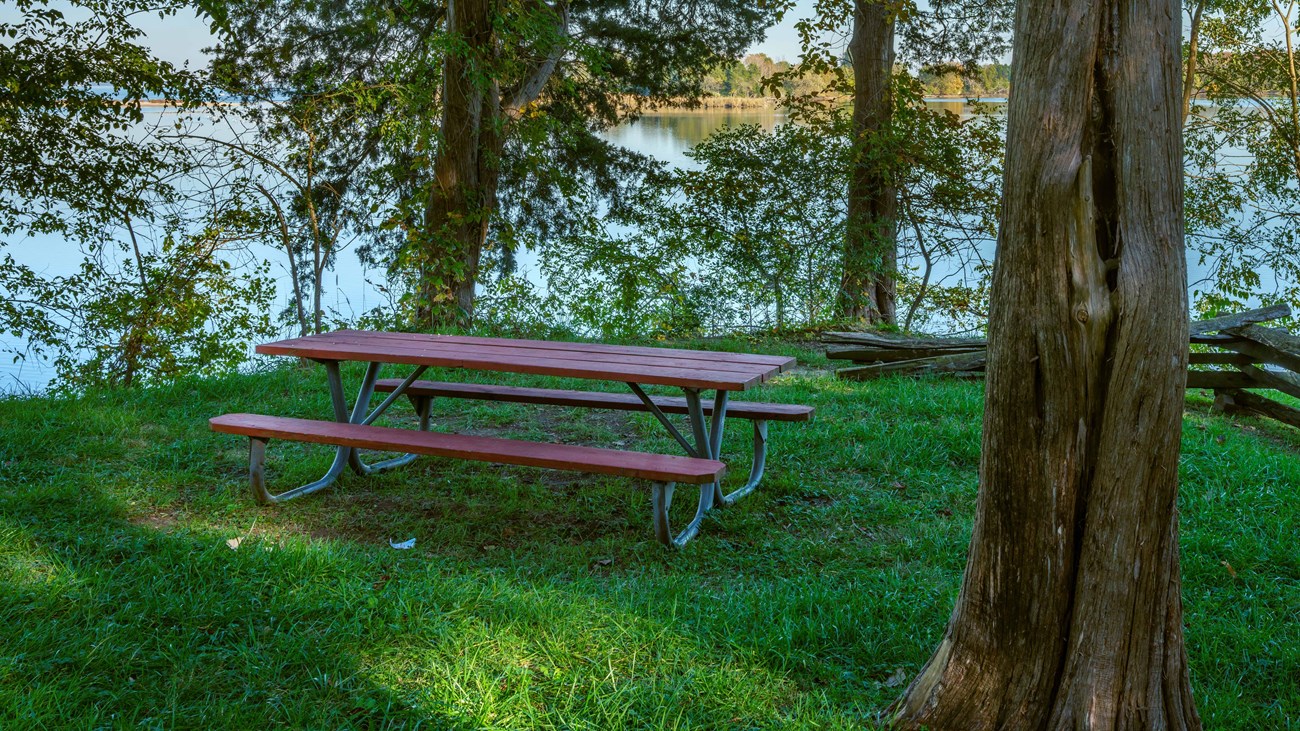 Picnic Pavilion surrounded by trees and grass