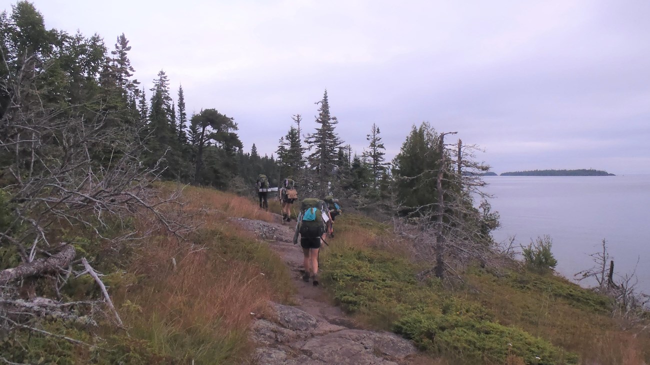 Four people walk on rocky trail towards a forest near a shoreline.