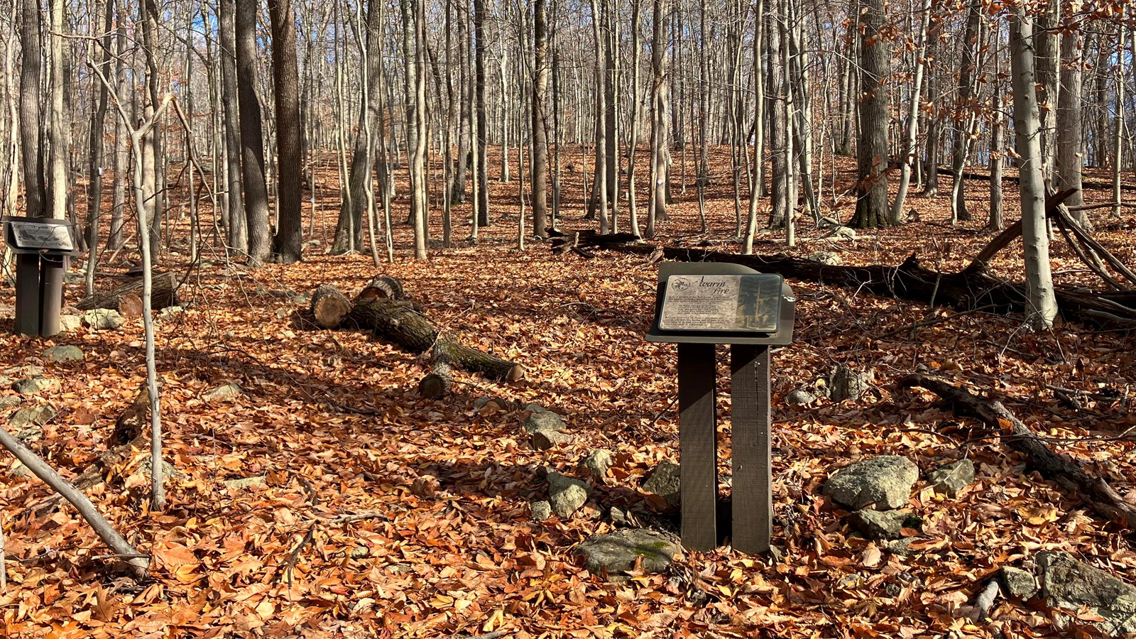 A wooded hillside with fallen leaves covering the ground. Two wayside exhibits stand amid the ground