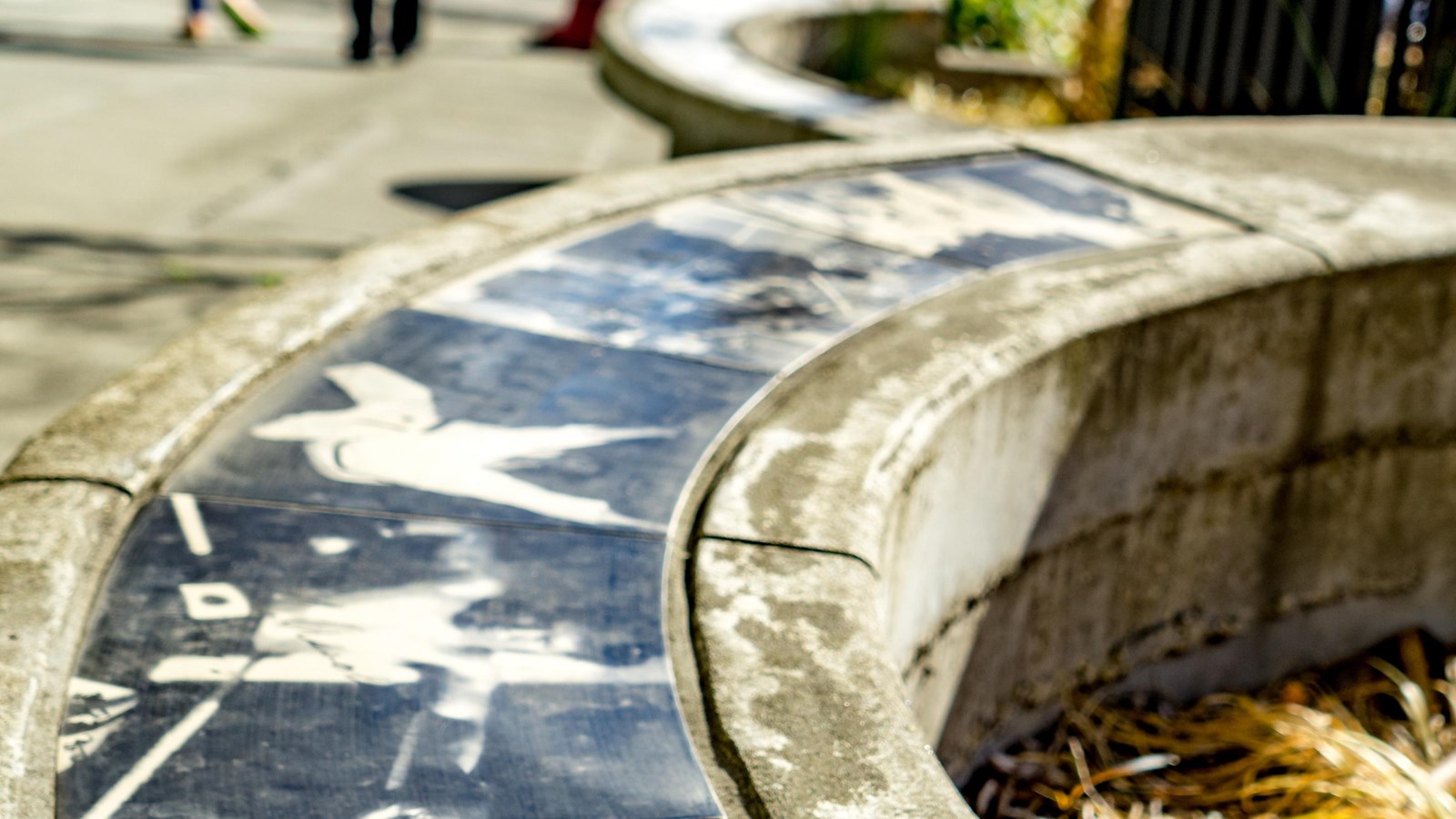 A sunny street scene with a curved bench adorned with black-and-white photographs.